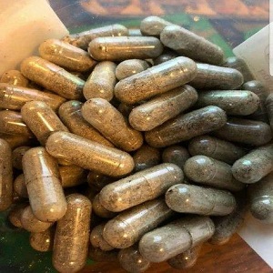 Golden Teacher Capsules 500mg