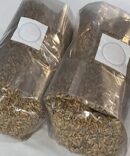Rye Grain Mushroom Grow Bag