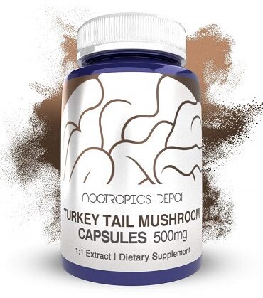 Turkey Tail Mushroom Capsules 500mg Whole Fruiting Body Trametes versicolor