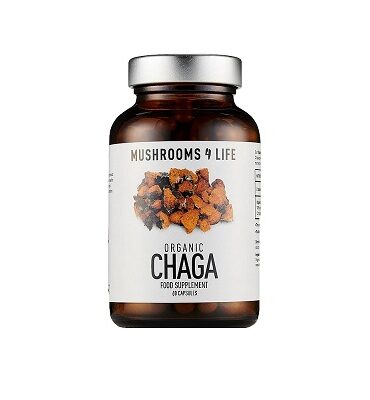 Chaga-Capsules