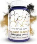 Lion’s Mane Mushroom 81 Dual Extract Capsules 500mg Whole Fruiting Body Hericium erinaceus
