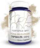 Poria Mushroom Capsules 500mg Whole Fruiting Body Wolfiporia extensa