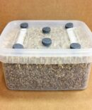 Mushroom Substrate kit XL