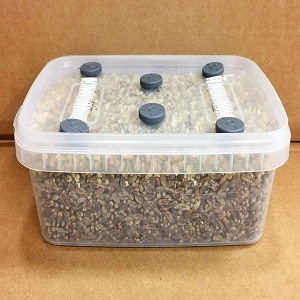 Mushroom Substrate kit XL